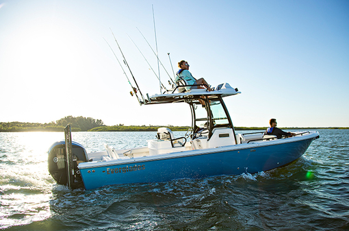 Everglades 273 CC 29'3